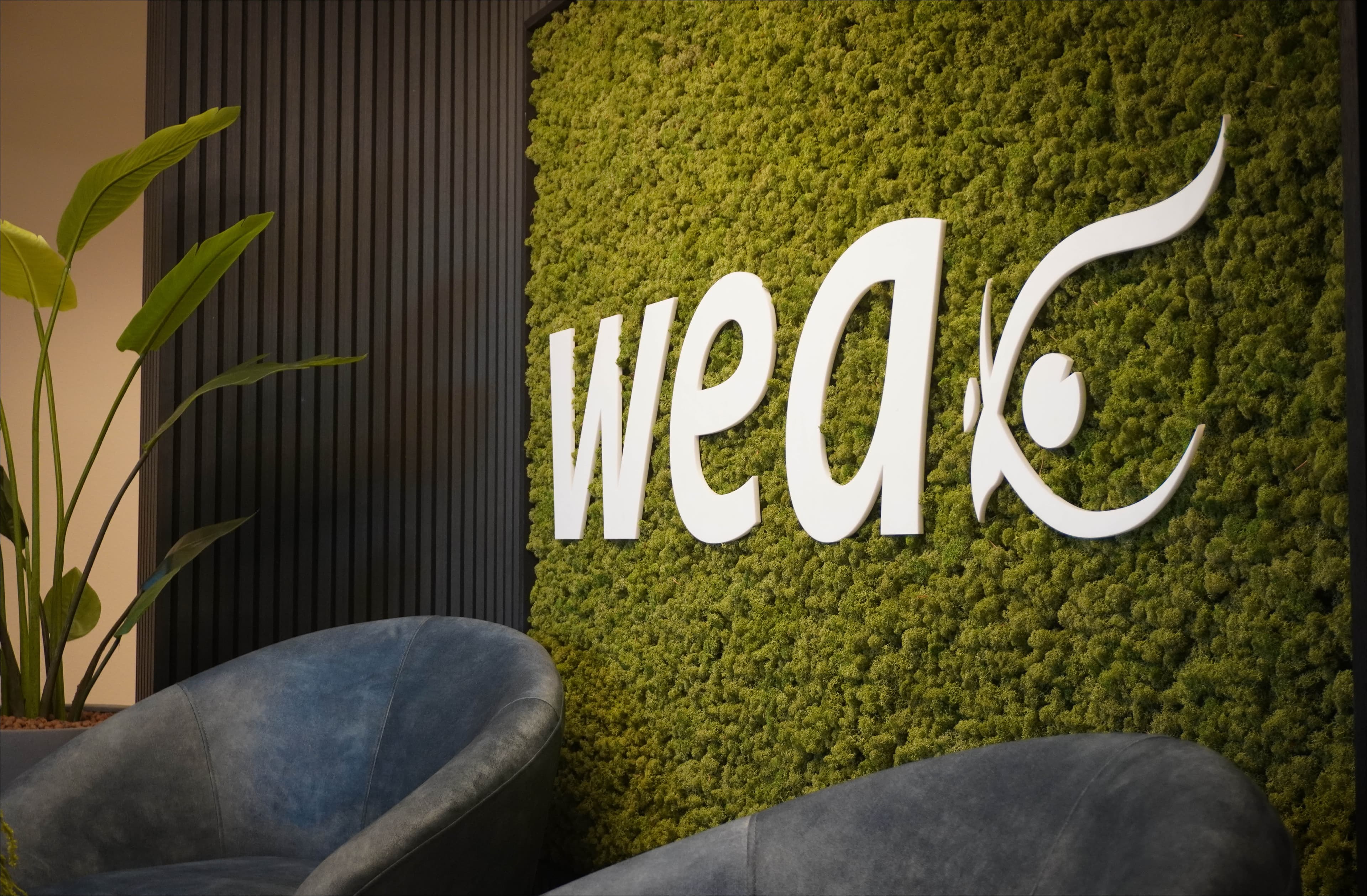 WEA Deltaland achtergrond